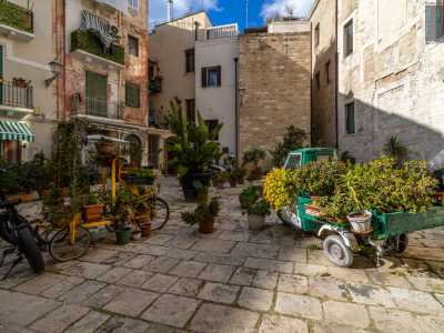 La parte centrale della piazza � poi abbellita da piante e fiori di vario genere: alcune sono disposte su un giallo risci�, altre invece su un dismesso apecar verdino